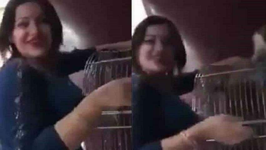 കുരങ്ങനെ ലൈംഗികമായി ഉപദ്രവിച്ചതിന് യുവതിക്ക് മൂന്ന് വര്ഷം തടവ്: വിധിക്ക് കാരണമായത് വൈറല് ആയ വീഡിയോ