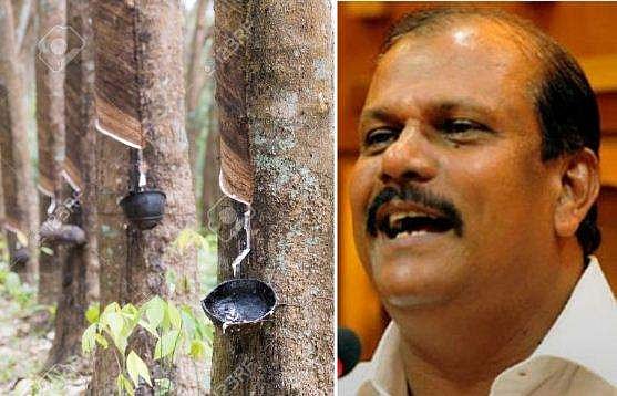 റബ്ബര്‍ കൃഷി പരിസ്ഥിതിയെ നശിപ്പിക്കുന്നു ; ഒരു പൈസ പോലും ഖജനാവില്‍ നിന്ന് സബ്‌സിഡി നല്‍കരുതെന്ന് പി സി ജോര്‍ജ്  