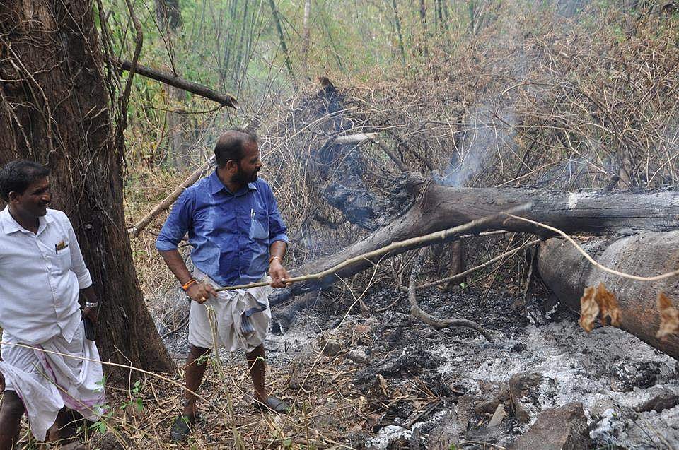 കാട്ടുതീയണയ്ക്കാന് ചുള്ളിക്കമ്പുമായി ബിജെപി നേതാവ്; പരിഹാസവുമായി സോഷ്യല് മീഡിയ
