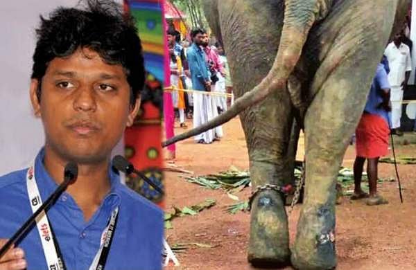മുറിവേറ്റ് അവശനിലയിലുള്ള ആനയെ എഴുന്നള്ളിച്ചു ; കളക്ടർ റിപ്പോർട്ട് തേടി