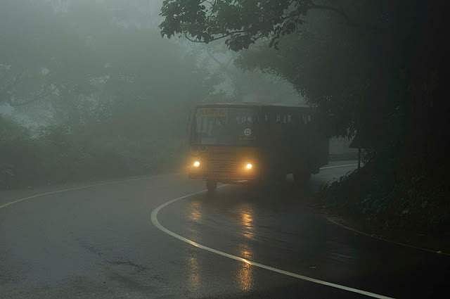വയനാട്ടില്‍ ബസിന് മുകളിലേക്ക് മരം വീണു: ഒഴിവായത് വന്‍ അപകടം