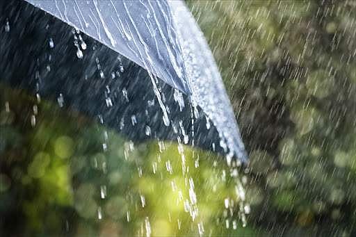 കനത്ത മഴ; കോട്ടയത്ത് വിദ്യാഭ്യാസ സ്ഥാപനങ്ങള്‍ക്ക് നാളെ അവധി; എം.ജി സര്‍വകലാശാല പരീക്ഷകളും മാറ്റി