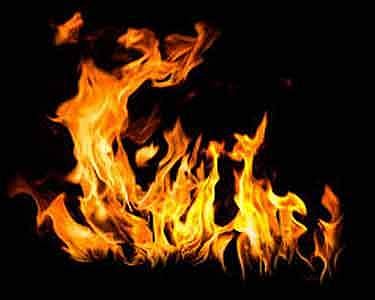 വസ്തു തര്‍ക്കം പരിഹരിച്ചില്ല; വില്ലേജ് ഓഫീസില്‍ ആത്മഹത്യാ ശ്രമം