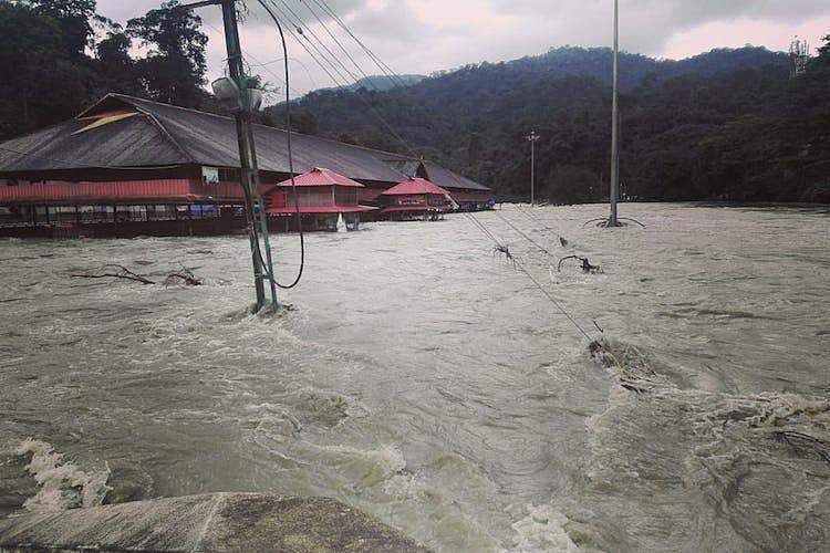 നിറപുത്തരി ചടങ്ങ്: തന്ത്രിക്ക് ശബരിമല സന്നിധിയിലെത്താനായില്ല; ചടങ്ങ് മുടങ്ങില്ല