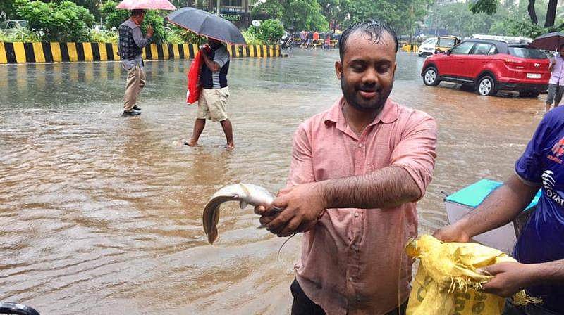 പുഴയില്‍ വലിയ മീനുകളുടെ ചാകര, ആശങ്ക തീര്‍ത്ത് പിരാന; കടലില്‍ മത്സ്യോല്‍പാദനം വര്‍ധിക്കും