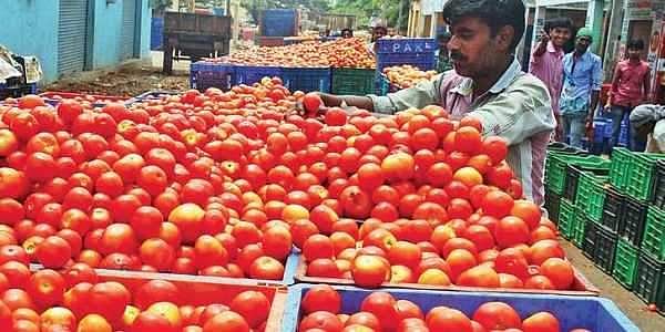 രണ്ടു രൂപയ്ക്ക് ഒരു കിലോ തക്കാളി; ഒരു മാസം മുന്‍പ് 100 രൂപ ഉണ്ടായിരുന്ന സ്ഥാനത്ത് വന്‍തകര്‍ച്ച
