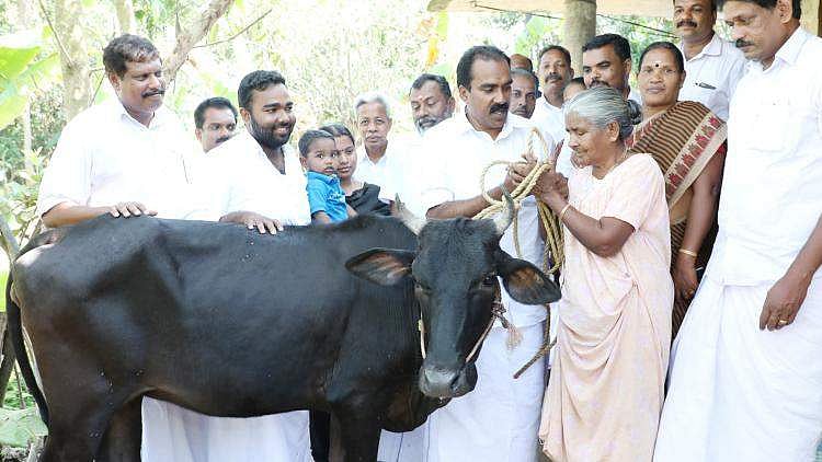 'മോനേ' എന്ന വിളിക്ക് ഫലമുണ്ടായി; സര്വവും നഷ്ടപ്പെട്ട മേരിക്ക് രാഹുല് നല്കിയ ഉറപ്പ് പാലിച്ചു, രണ്ടു വയസുളള മുന്തിയ ഇനം പശുവിനെ കൈമാറി