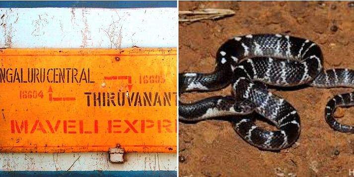 കൊച്ചുവേളിയിൽ നിന്ന് മം​ഗളൂരു വഴി ചെന്നൈയിലേക്ക് ; ഇറങ്ങാൻ മറന്ന 'യാത്രക്കാരനെ' ജീവനക്കാർ പിടികൂടി തല്ലിക്കൊന്നു