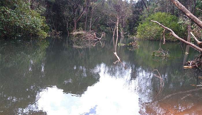 അരുവി തടാകമായി മാറി, വയനാട് വനത്തിനുള്ളിലെ ഉരുള്‍പ്പൊട്ടലില്‍ സംഭവിച്ചത്‌