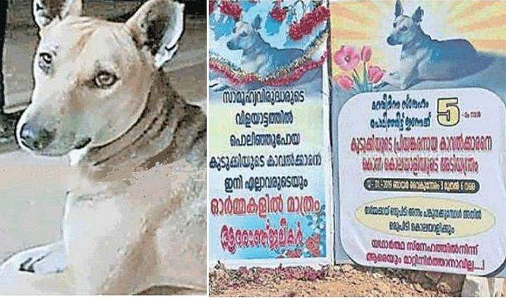 അവന്‍ വെറും തെരുവുനായ അല്ല, നാടിന്റെ കാവല്‍ക്കാരന്‍; വിടപറഞ്ഞ പ്രീയപ്പെട്ടവന്റെ ഓര്‍മയില്‍ വിതുമ്പി ഒരു ഗ്രാമം