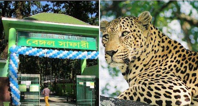 സൗരവുമായി യോജിക്കാനാവുന്നില്ല ? ; സഫാരി പാർക്കിൽ നിന്നും സച്ചിൻ മുങ്ങി