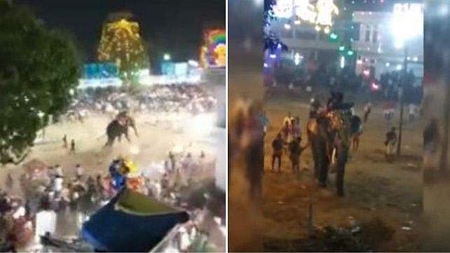 ഉത്സവത്തിനിടെ ആന ഇടഞ്ഞു; നിരവധി പേര്‍ക്ക് പരുക്ക്; വീഡിയോ