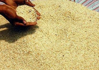 കേരളത്തില്‍ നിന്ന് കടത്തിയ പ്രളയ അരി കണ്ടെത്തി; 100 കിലോയിലധികം അരി തമിഴ്‌നാട്ടിലെ മില്ലില്‍