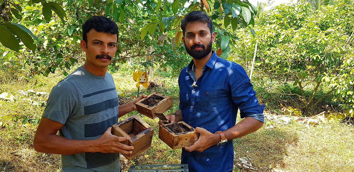 ബിനില്‍, ആഷ്ലി: തേനീച്ചകളുടെ സംരക്ഷകര്‍
