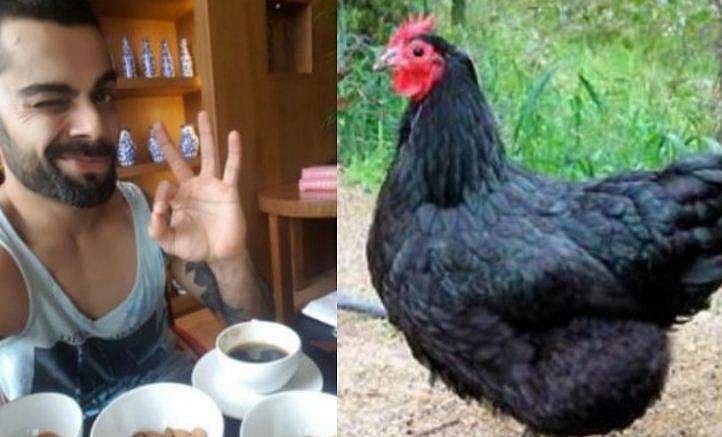 ഗ്രില്‍ഡ് ചിക്കനല്ല, കരിങ്കോഴിയാണ് കോഹ് ലി കഴിക്കേണ്ടത്; ഇന്ത്യന്‍ നായകന് മെനുവുമായി കൃഷി വകുപ്പ്
