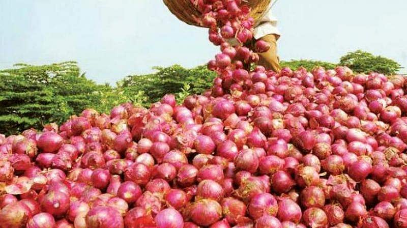 കിലോയ്ക്ക് 35 രൂപ നിരക്കില്‍ സവാള ; വില നിയന്ത്രിക്കാന്‍ നടപടിയുമായി സംസ്ഥാന സര്‍ക്കാര്‍ ; സപ്ലൈകോ വഴി വില്‍ക്കും