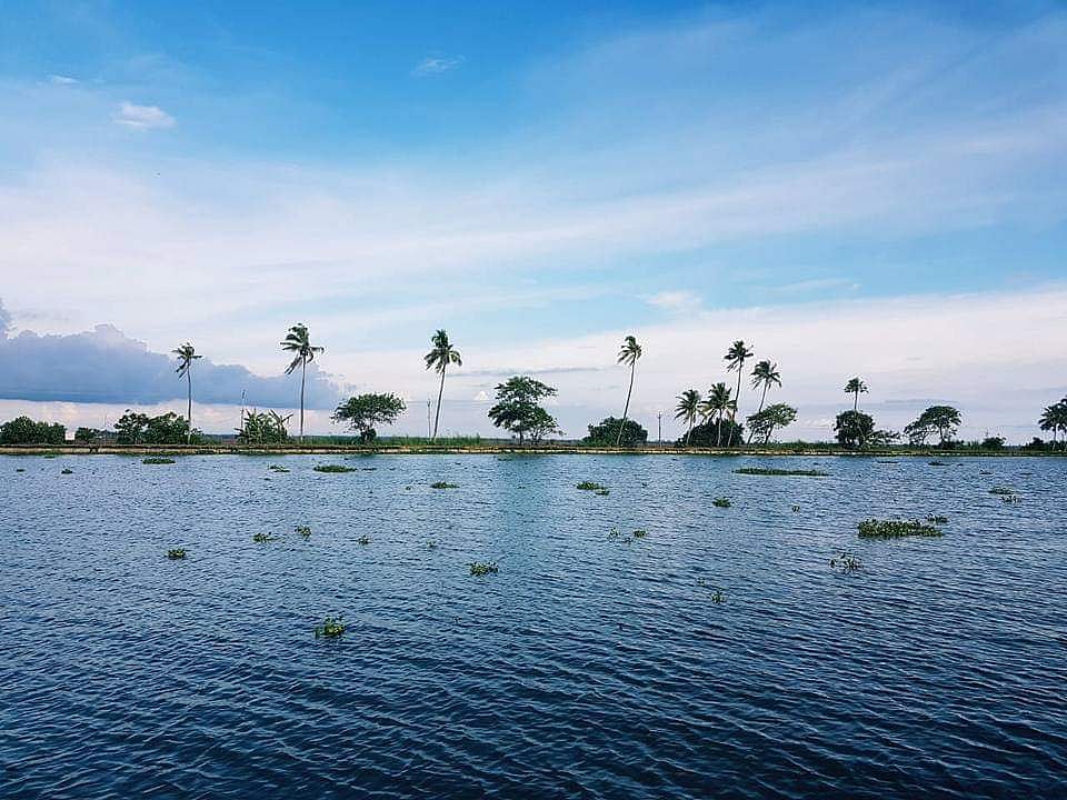 2 പതിറ്റാണ്ടിനുള്ളില്‍ വേമ്പനാട്ടു കായല്‍ ചതുപ്പ് നിലമാവും; ഞെട്ടിക്കുന്ന വിവരങ്ങളുമായി വീണ്ടും പഠന റിപ്പോര്‍ട്ട്‌
