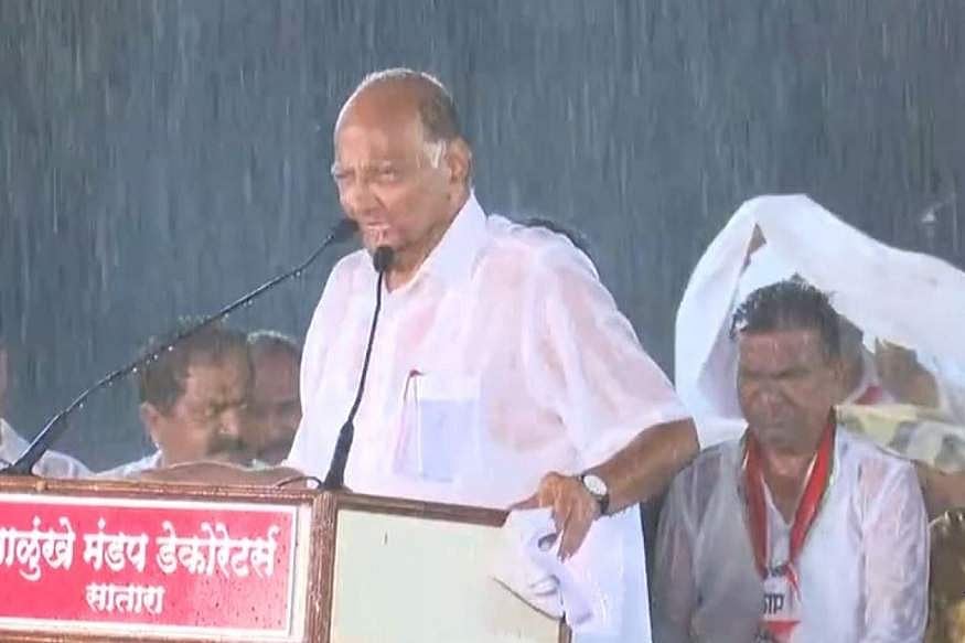 കനത്തമഴയിലും ചോരാത്ത ആവേശവുമായി ശരദ്പവാര്‍; അണികളെ അതിശയിപ്പിച്ച് പ്രസംഗം, ആര്‍പ്പുവിളി ( വീഡിയോ)