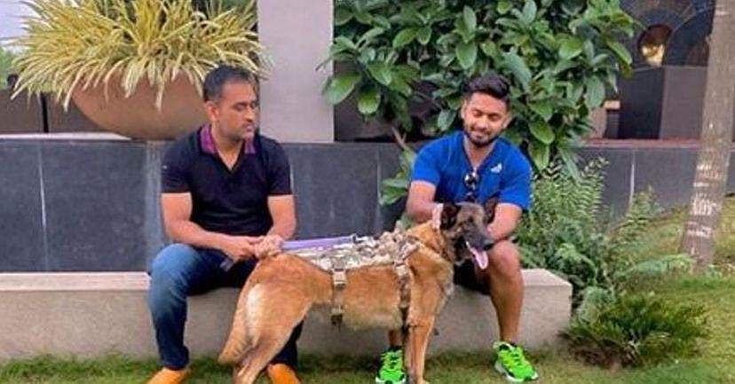 തന്ത്രങ്ങളെല്ലാം ചോദിച്ചറിയുകയാണോ? ധോനി ഇവിടെ പന്തിന് ഒപ്പമുണ്ട്‌