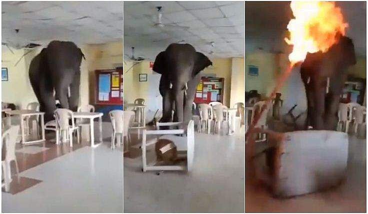 കാട്ടാനയ്ക്ക് പട്ടാളത്തെ പുല്ലുവില; ആര്‍മി ക്യാന്റീനില്‍ അതിക്രമിച്ചു കടന്ന ആന ചെയ്തത്; വിഡിയോ വൈറല്‍ 