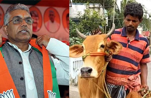 പാലില്‍ സ്വര്‍ണമുണ്ടെന്ന ബിജെപി അധ്യക്ഷന്റെ വാക്കു വിശ്വസിച്ചു; ലോണെടുക്കാന്‍ കര്‍ഷകന്‍ പശുവുമായി ബാങ്കില്‍