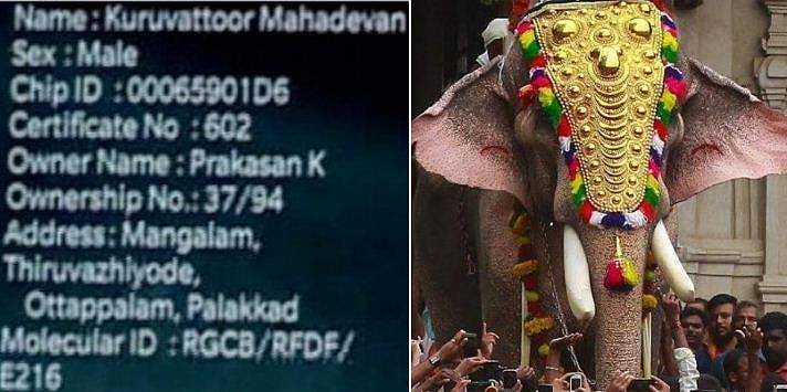 ആനകൾക്കും ആധാർ! പദ്ധതി ആദ്യമായി നടപ്പിലാക്കി സംസ്ഥാനം; ശ്രദ്ധേയം
