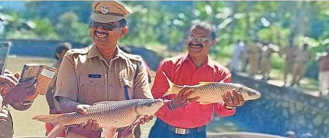 ജയില്‍വാസം കഴിഞ്ഞ് മീനുകള്‍ !; ചെണ്ടമേളത്തിന്റെ അകമ്പടിയോടെ കച്ചവടം ; തടിച്ചുകൂടി ജനക്കൂട്ടം