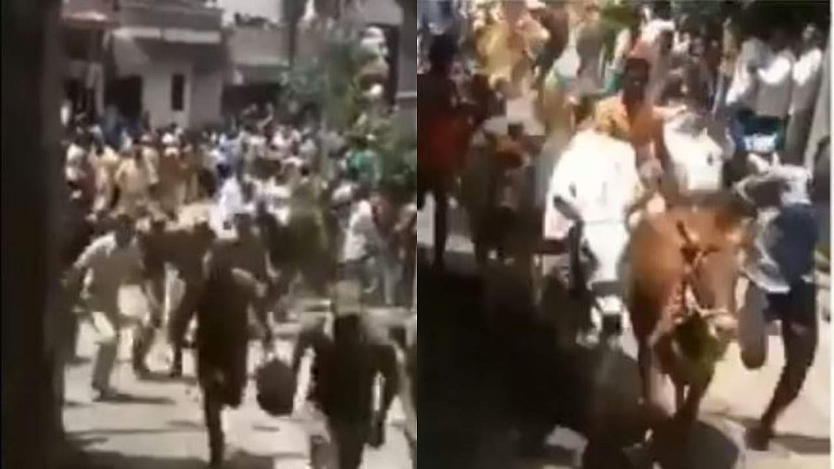 പ്രക്ഷോഭത്തില്‍ അണിനിരന്ന് കാളകള്‍, പിന്തിരിഞ്ഞോടി പൊലീസ് ( വീഡിയോ)