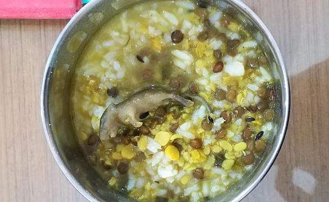 ഗവണ്‍മെന്റ് സ്‌കൂളിലെ ഉച്ചഭക്ഷണത്തില്‍ ചത്ത എലി; ഞെട്ടി വിദ്യാര്‍ത്ഥികള്‍, അസ്വസ്ഥത