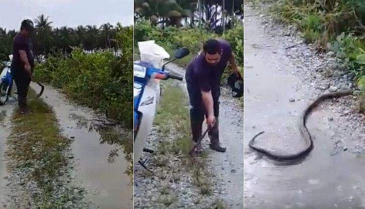 വഴിയരികില്‍ കണ്ട മൂര്‍ഖന്‍ പാമ്പിന്റെ തല അരിഞ്ഞു, വിഡിയോ പിടിച്ച് ആഘോഷം: ക്രൂരത