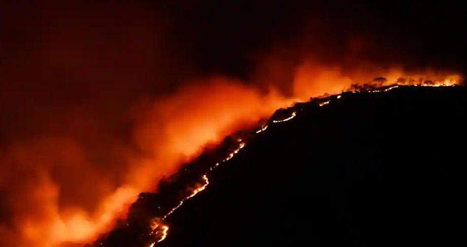 ബന്ദിപ്പൂരിലെ കാട്ടുതീ വയനാട് വന്യജീവി സങ്കേതത്തിനും ഭീഷണി തീര്‍ത്തു; നിയന്ത്രണവിധേയമാക്കിയെന്ന് അധികൃതര്‍