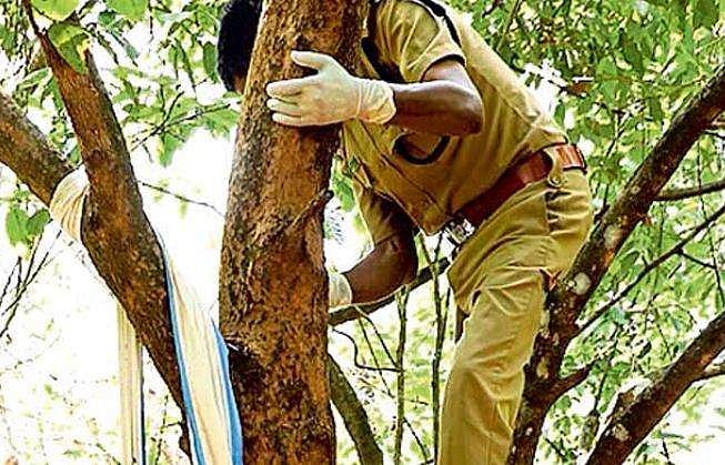 മൃതദേഹം താഴെയിറക്കാൻ 5000 രൂപ ആവശ്യപ്പെട്ടു; എസ്ഐ തന്നെ മരത്തിൽ കയറി താഴെയിറക്കി