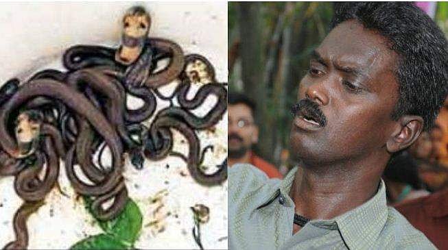 പകല് മുഴുവന് നീണ്ട പരിശ്രമം; മതില് പൊളിച്ച് വാവ സുരേഷ് പിടികൂടിയത് മൂര്ഖന് കൂട്ടങ്ങളെ