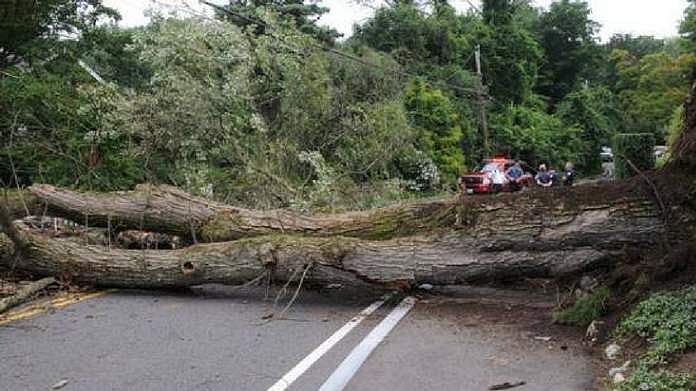 കനത്ത മഴയില്‍ നിലമ്പൂരില്‍ മരം കടപുഴകി വീണു; മൂന്നുമരണം, ഏഴുപേര്‍ക്ക് പരിക്ക്