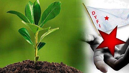 2,60,000 വൃക്ഷത്തൈകള്‍ വച്ചുപിടിപ്പിക്കും, ഓണം ലക്ഷ്യമിട്ട് 212 കേന്ദ്രങ്ങളില്‍ കൃഷി ഇറക്കും; ക്യാമ്പയിനുമായി ഡിവൈഎഫ്‌ഐ 