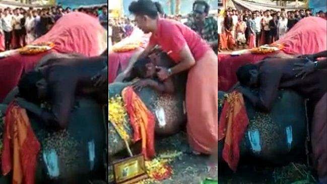 'അയ്യോ..എന്റെ കുഞ്ഞാ..', വാവിട്ട് നിലവിളിച്ച് പാര്‍ത്ഥന്റെ പാപ്പാന്‍; ഉളളുലയ്ക്കുന്ന നിമിഷങ്ങള്‍, വിഡിയോ