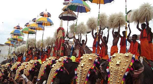 തൃശൂര്‍ പൂരത്തിലെ 'ആന പ്രതിസന്ധി' : ആന ഉടമകളുമായി ഇന്ന് ചര്‍ച്ച 