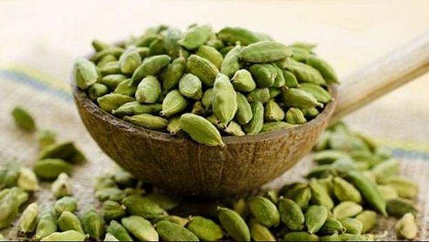 ഏലയ്ക്ക 'വെറും കായല്ല, പൊന്നാണ്' ; കിലോയ്ക്ക് വില 5000 രൂപ, സര്‍വകാലറെക്കോഡ്