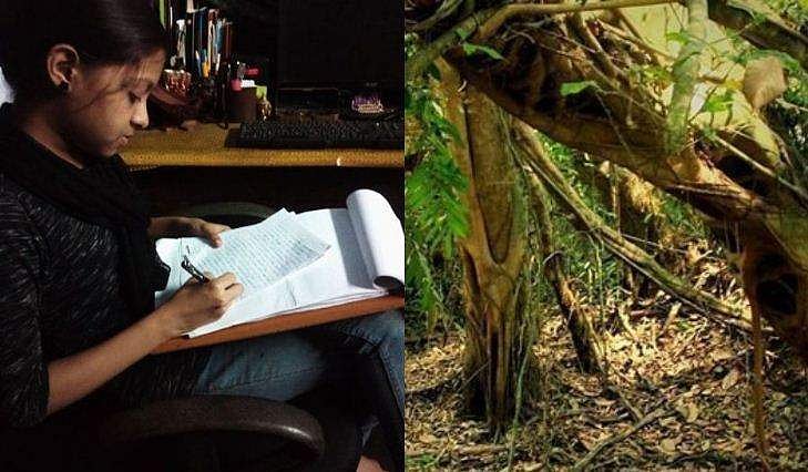 'എന്റെ കണ്‍മുന്നില്‍ വെച്ചാണ് ഞങ്ങളുടെ വെള്ള പൈന്‍ മരം വെട്ടിമാറ്റിയത്, ഉള്ളു പൊള്ളി'; വിദ്യാഭ്യാസമന്ത്രിക്ക് തുറന്ന കത്തുമായി പത്താംക്ലാസുകാരി