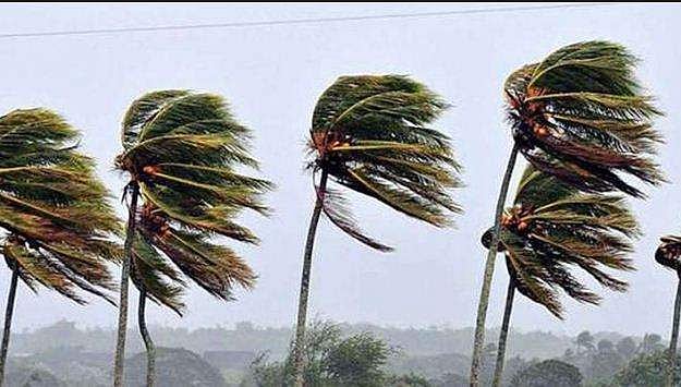 അറബിക്കടലില്‍ ന്യൂനമര്‍ദം ; ചുഴലിക്കാറ്റിന് സാധ്യത, മുന്നറിയിപ്പ് ; ഏഴു ജില്ലകളില്‍ യെല്ലോ അലര്‍ട്ട്