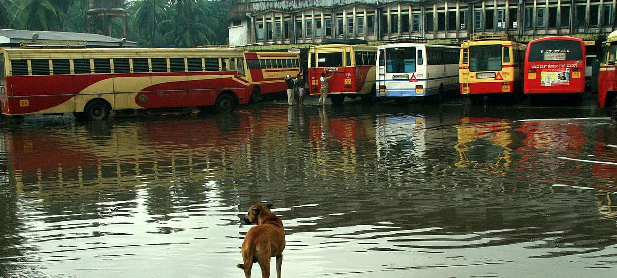 സംസ്ഥാനത്ത് ഇന്ന് ചില ജില്ലകളില്‍ ശക്തമായ മഴയ്ക്ക് സാധ്യത