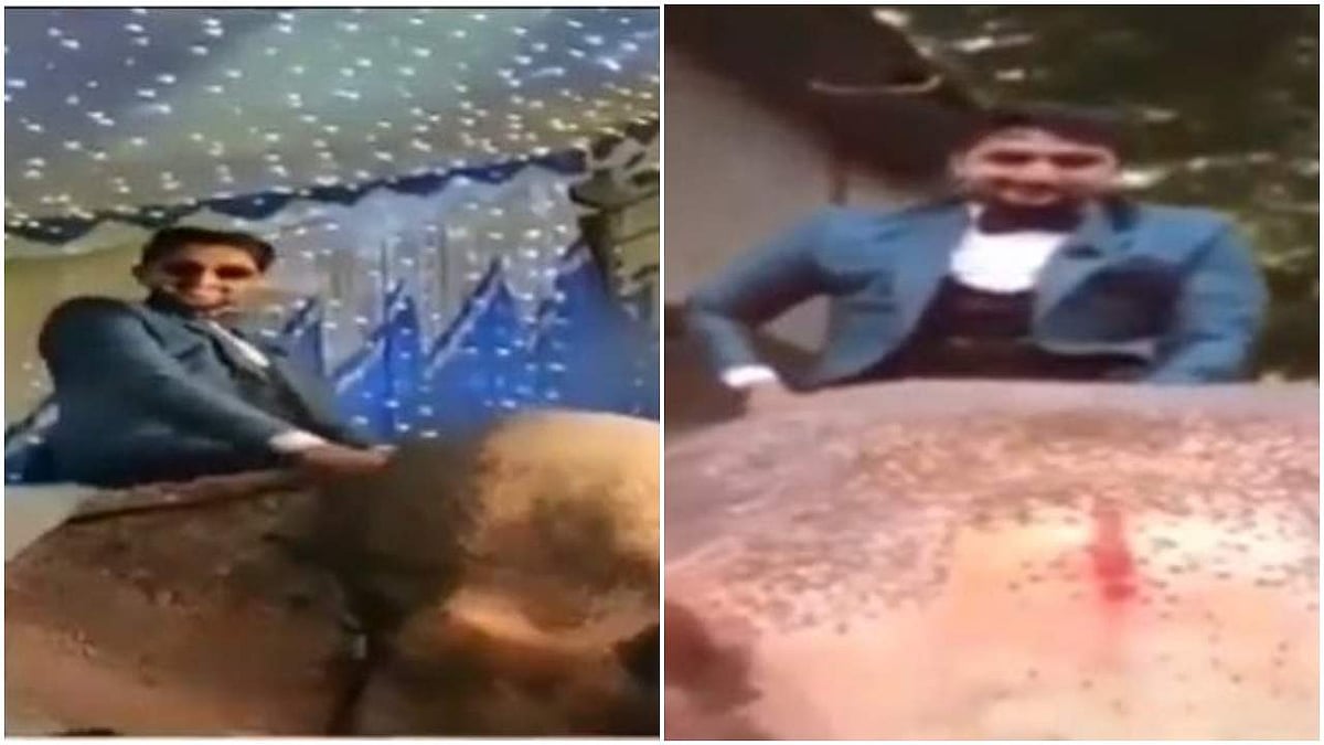 വധുവിന്റെ വീട്ടിലേക്ക് ആനപ്പുറത്ത് കയറി വരന്‍; പുലിവാലായി; വനം വകുപ്പ് കേസെടുത്തു