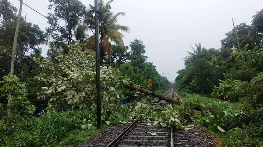 ശക്തമായ കാറ്റും മഴയും ട്രാക്കിലേക്ക് മരം വീണ് ആപ്പുഴയില് ട്രെയിന് ഗതാഗതം തടസപ്പെട്ടു