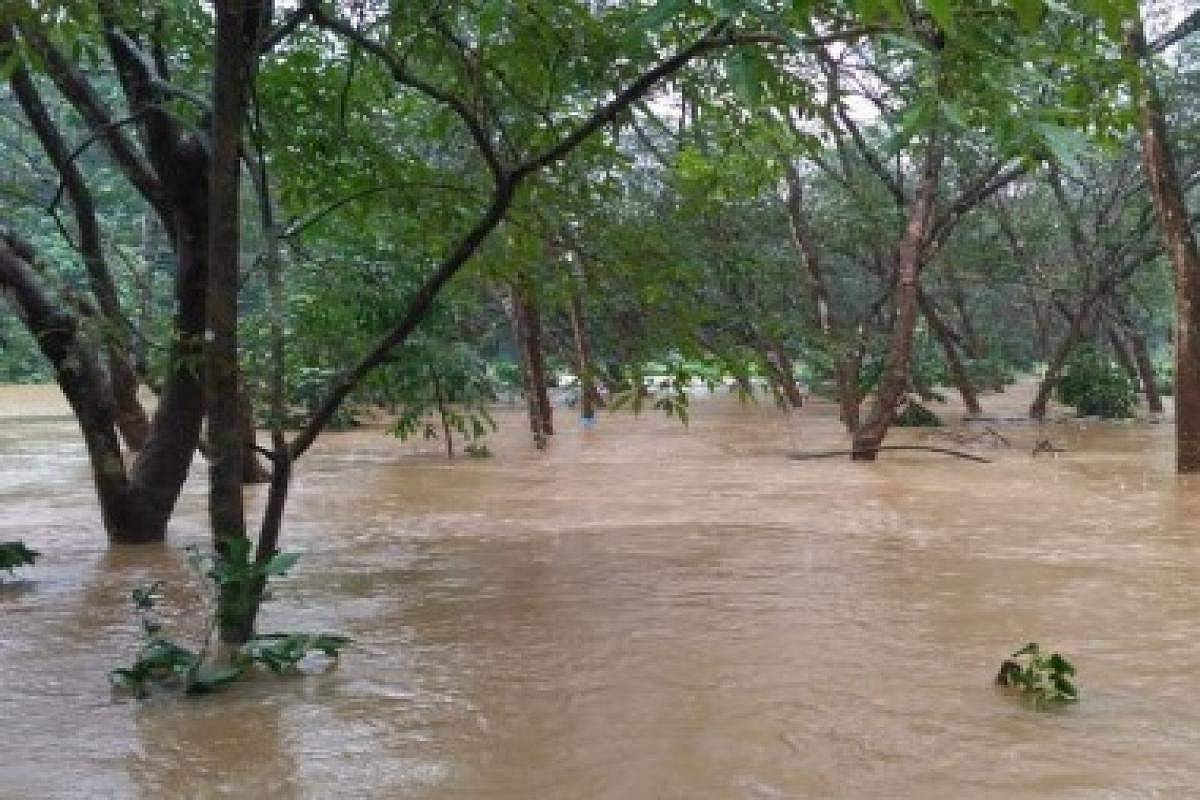 നാടുകാണിയില്‍ കാണാതായ സഹോദരിമാരെ കണ്ടെത്തിയില്ല, രക്ഷാപ്രവര്‍ത്തനം നിര്‍ത്തിവെച്ചു; നാളെ എന്‍ഡിആര്‍എഫ് എത്തും