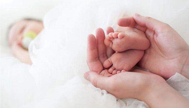 സര്‍ക്കാര്‍ ജീവനക്കാരി മൂന്നാമതും ഗര്‍ഭിണിയായാല്‍ പ്രസവാവധി അനുവദിക്കാനാവില്ല : ഹൈക്കോടതി