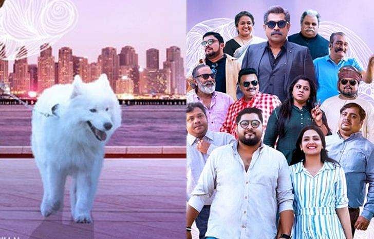 ഹോളിവുഡിൽ നിന്ന് മലയാളത്തിലേക്ക്; സൂപ്പർ ഡോഗ് ആദ്യമായി അഭിനയിക്കുന്ന ഇന്ത്യൻ സിനിമ 