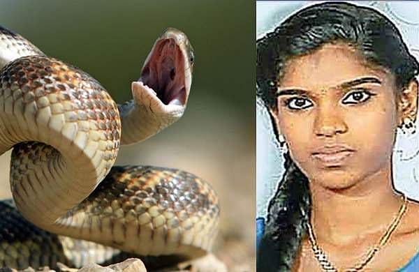 ജനാല വഴി പാമ്പു കയറി, മുറിയില്‍ ഉറങ്ങിക്കിടന്ന പ്ലസ് ടു വിദ്യാര്‍ഥിനി മരിച്ചു