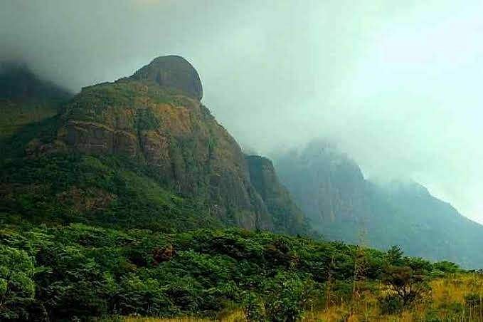 അഗസ്ത്യാര്‍കൂട സന്ദര്‍ശനത്തിന് തുടക്കം ; ഇക്കൊല്ലം മലകയറാന്‍ 170 സ്ത്രീകള്‍, രണ്ട് വിദേശികളും