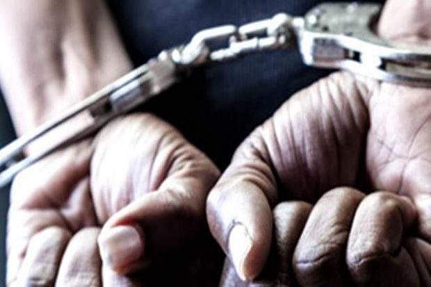 മരക്കൊമ്പ് മുറിച്ചുമാറ്റുന്നതിനിടെ കെഎസ്ഇബി ജീവനക്കാരനെ വീട്ടുടമ എറിഞ്ഞുവീഴ്ത്തി; അറസ്റ്റ്