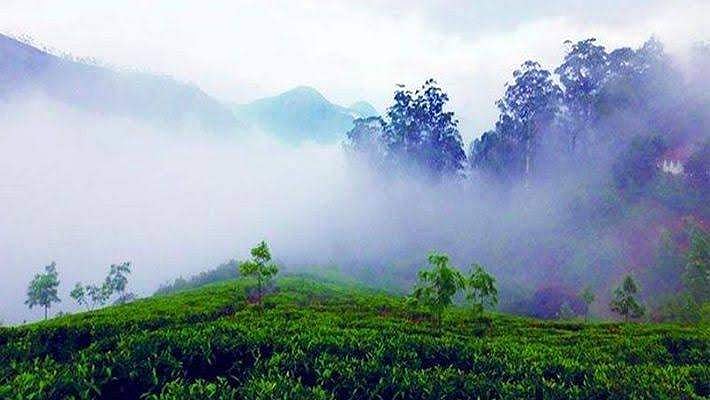 മൂന്നാറില്‍ താപനില പത്തുഡിഗ്രിയില്‍ താഴെ; സഞ്ചാരികളുടെ ഒഴുക്ക്